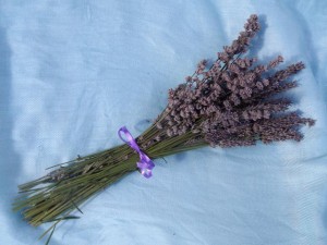 Lavender bunch2 (3)